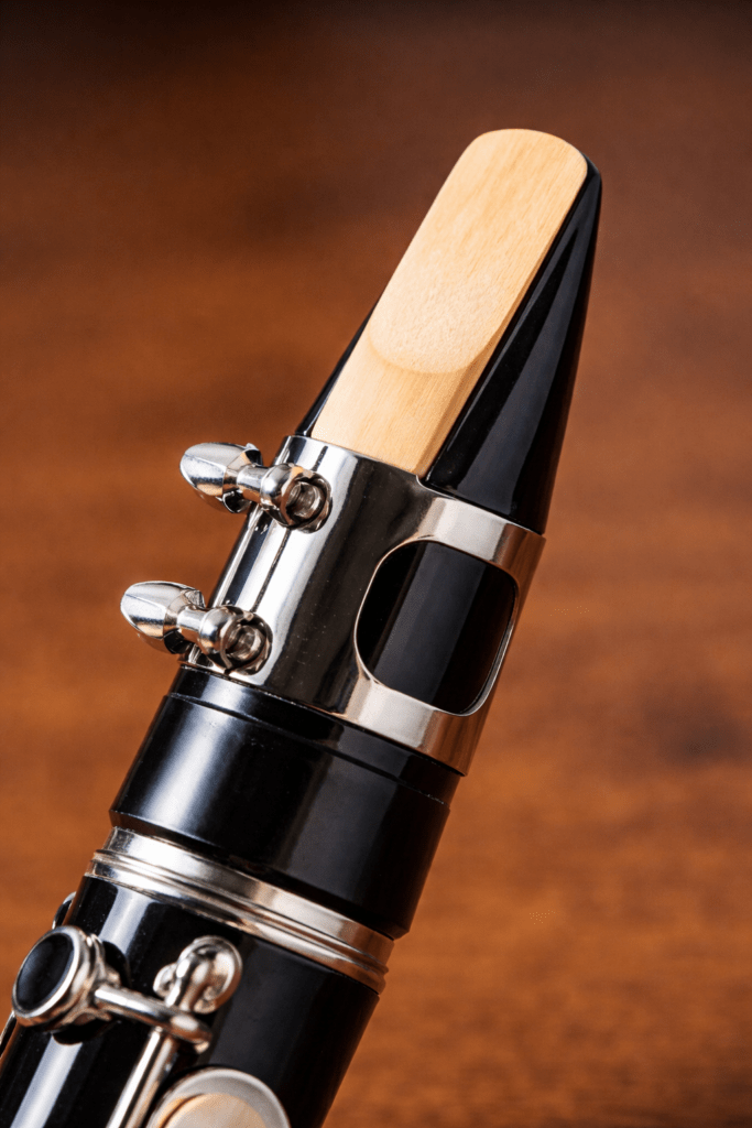 anche de clarinette montée sur le bec