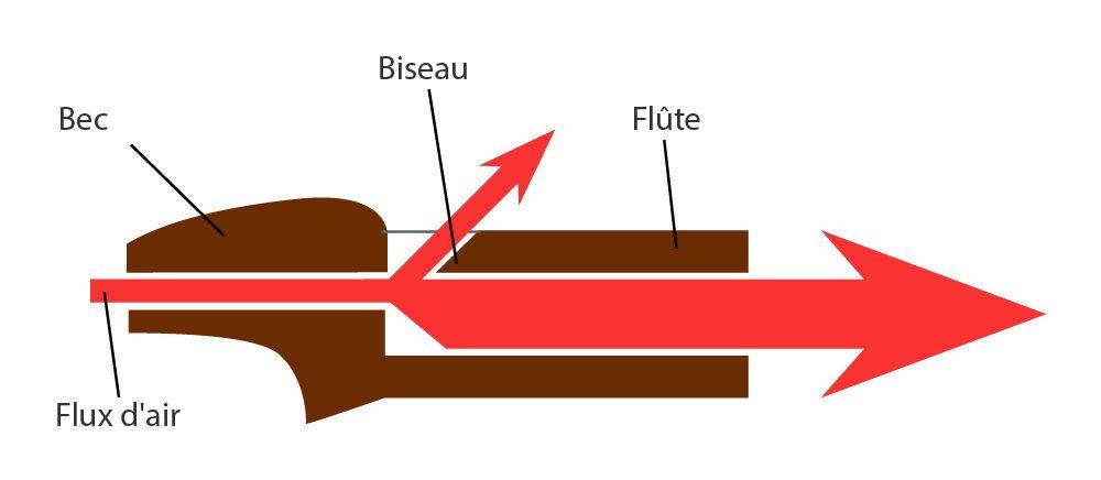 coupe transversale d'un bec de flûte montrant le biseau et le flux d'air traversant