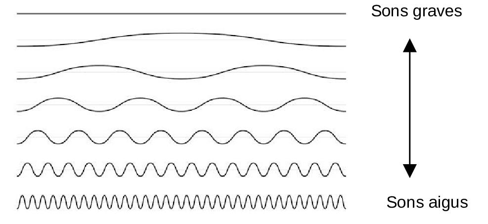 schéma des fréquences sonores en fonction de la hauteur des sons