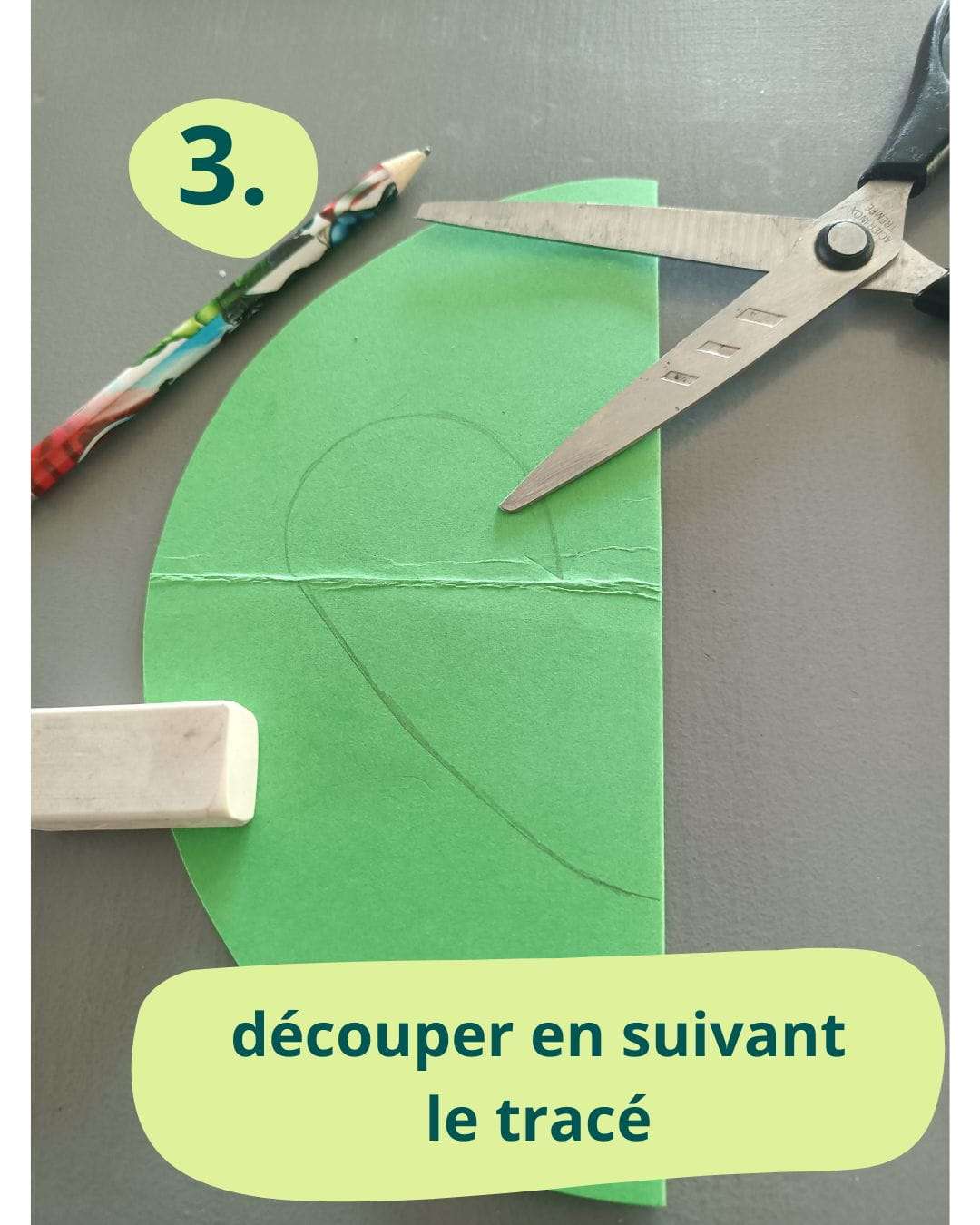 découpe du contour de la souris verte